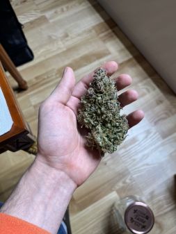 Review photo #4