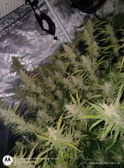 Review photo #4
