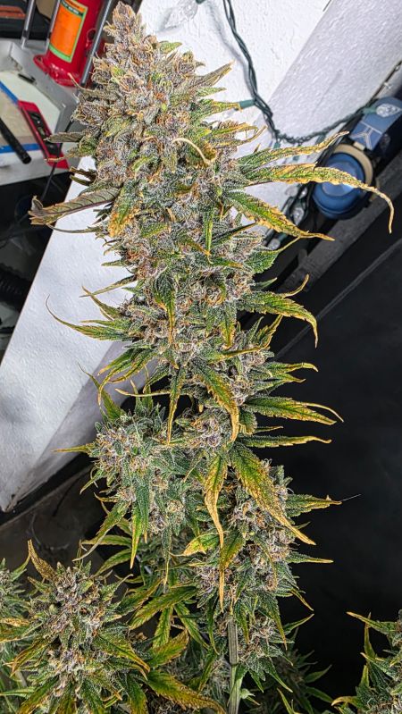 Review photo #6