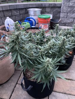 Review photo #2