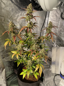 Review photo #4