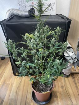 Review photo #5