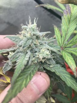 Review photo #3