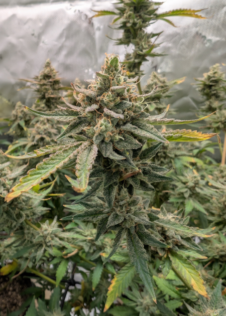 Review photo #4