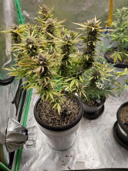 Review photo #3