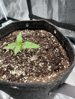 Review photo #3