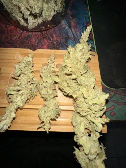Review photo #5