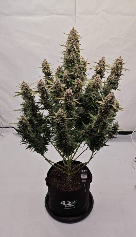 Review photo #5