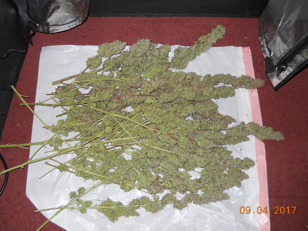 Review photo #3