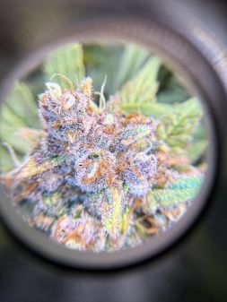 Review photo #3