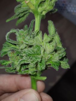 Review photo #1