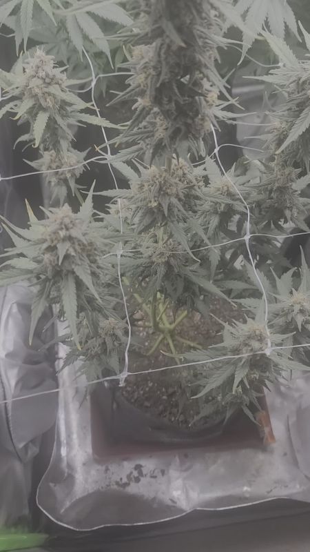 Review photo #2