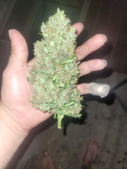 Review photo #8