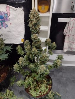 Review photo #2