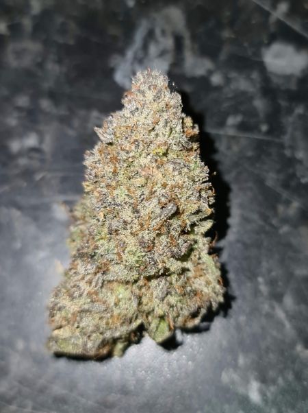 Review photo #1