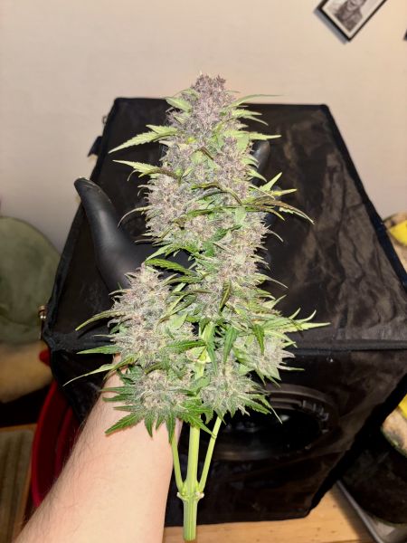 Review photo #4