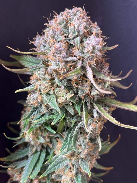 Review photo #5