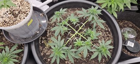 Review photo #5