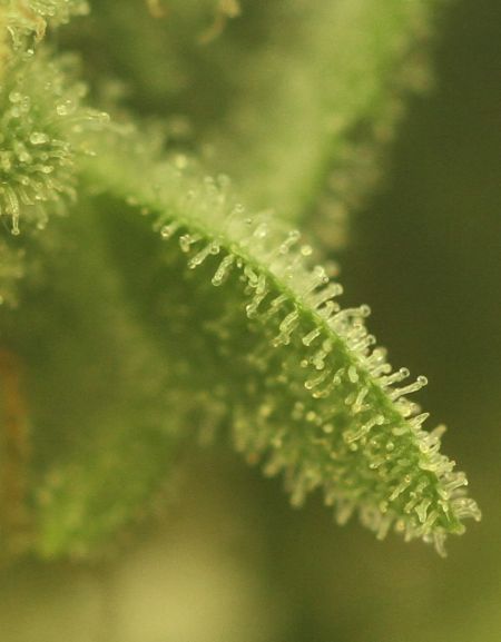 Review photo #3