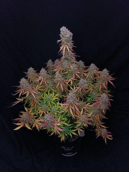 Review photo #5
