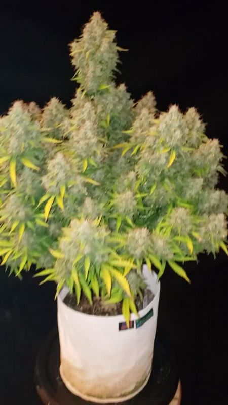 Review photo #7
