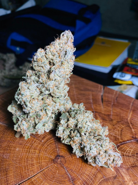 Review photo #3
