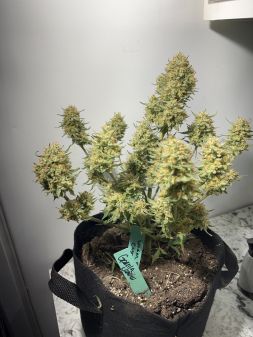 Review photo #3