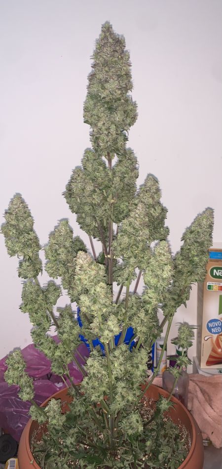 Review photo #6