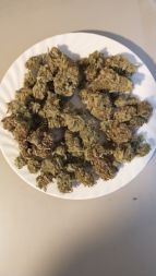 Review photo #3