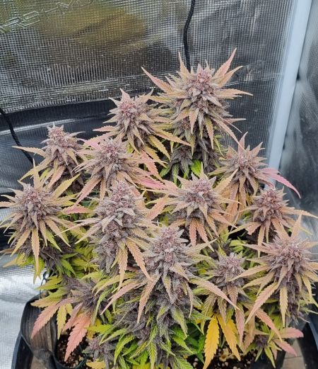 Review photo #1
