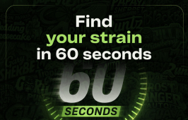New Feature: Seed Finder. Find Your Perfect Seed