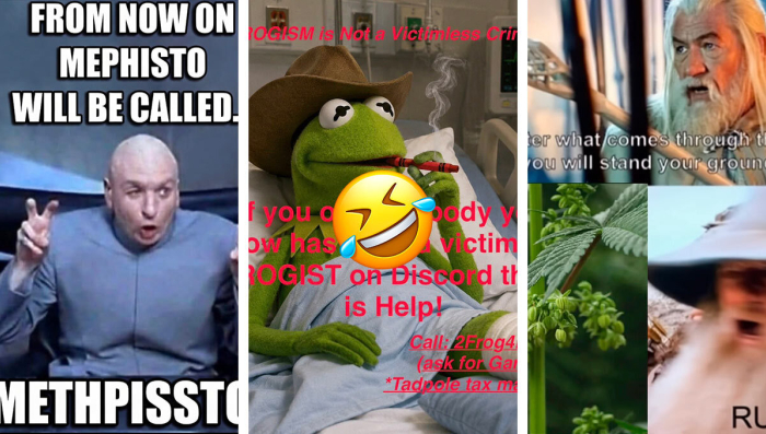 June Meme Contest Winners Are In