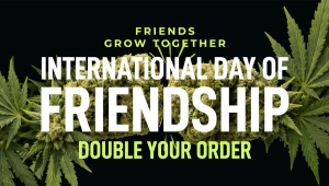 Friendship Day: Buy 1, Get 1 For Your Grow Buddy!