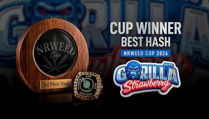 Strawberry Gorilla Auto Takes the Podium for Best Extractions at NRW Plants Cup 2026
