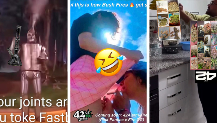 Die Gewinner des Meme-Wettbewerbs im August stehen fest
