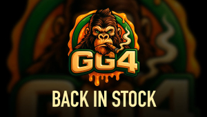 GG4 Is Back: The Legend You Know and Love
