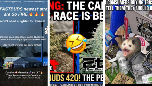 September Meme Discord Contest Winners Are In!