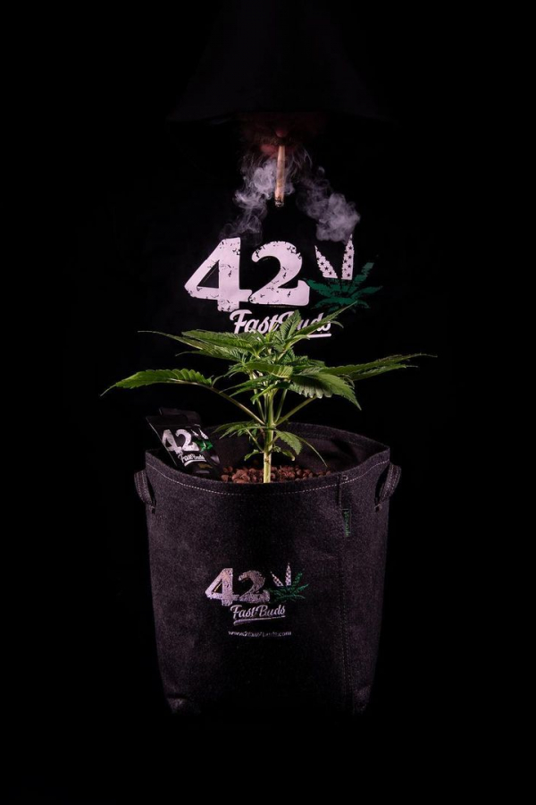 Instagram 420 Geotextile Auto Pot