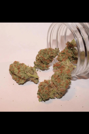 Wedding Glue Auto - Dried Buds After Return