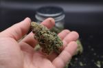 Instagram Pineapple OG Auto™