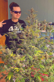 Instagram Gorilla Z Auto