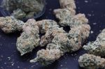 Instagram Guava Sundae Auto™
