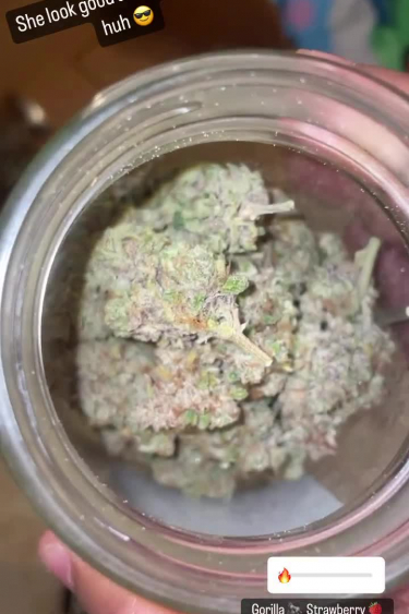 Strawberry Gorilla Auto - Frosty Returned Bud Inside Glass Jar
