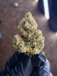 Instagram Mendo Guava Auto™