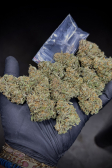 Instagram Cherry Cola Auto