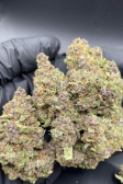 Instagram Purple Punch Auto
