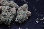 Instagram Pineapple OG Auto™