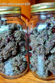 Instagram LSD-25 Auto
