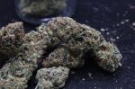 Instagram Mendo Frost Auto™