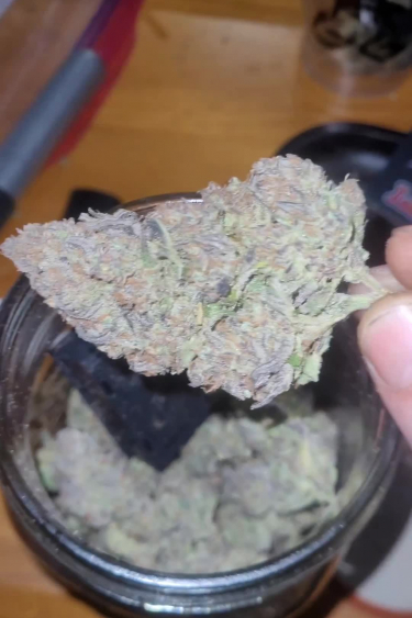Cherry Cola Auto - Returned Bud Size and Frosty Frosts